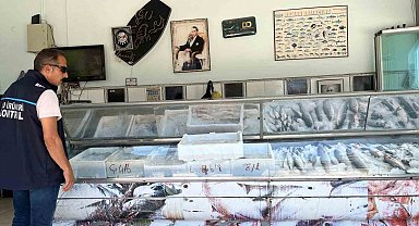 Didim'de su ürünleri denetimleri sürüyor