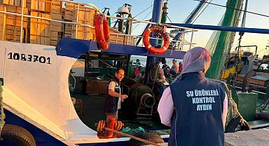 Didim'de uluslararası sularda avlanan trol teknelerine denetim