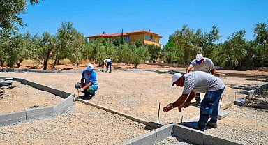 Didim'de Zeytin Park Projesi hayata geçirilecek