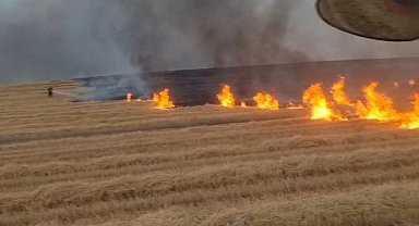 Diyarbakır'da 5 bin dönüm arazi alevlere teslim oldu