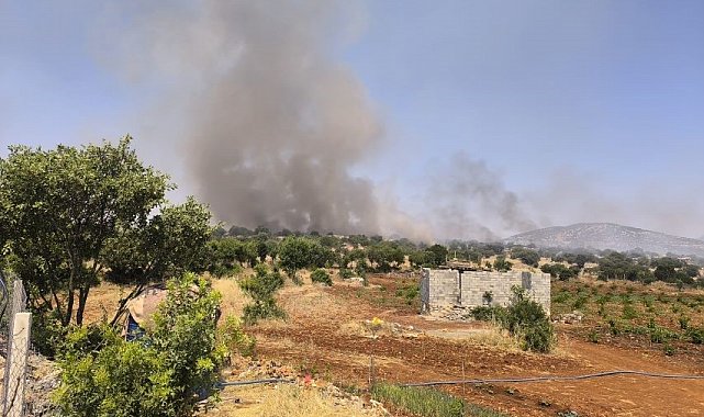 Diyarbakır'da örtü yangını