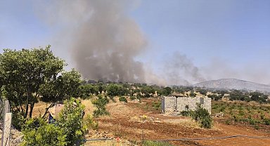 Diyarbakır'da örtü yangını