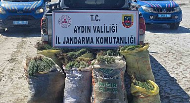 Doğal koruma alanlarında izinsiz bitki toplayan 8 şüpheliye işlem yapıldı