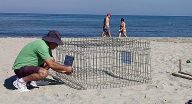 Duyarlı gençlerin ihbarı sayesinde, caretta yuvası koruma altına alındı