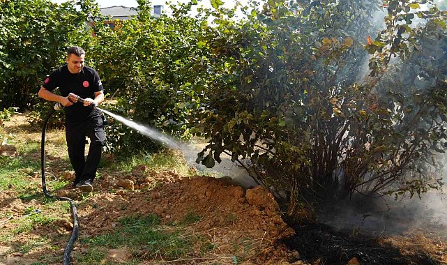 Düzce İtfaiyesi 3 ayda 300 anız yangınına müdahale etti
