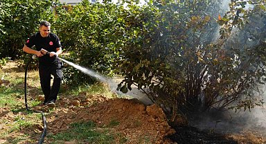 Düzce İtfaiyesi 3 ayda 300 anız yangınına müdahale etti