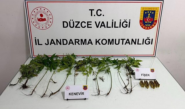 Düzce'de jandarmadan uyuşturucu operasyonu