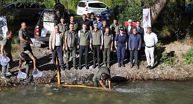 Ecemiş Çayı'na 15 bin alabalık yavrusu bırakıldı