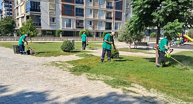 Efeler'de parklar ve yeşil alanlar bakımdan geçiriliyor