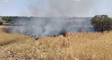Elazığ'da arazi yangını ekiplerin müdahalesi sürüyor