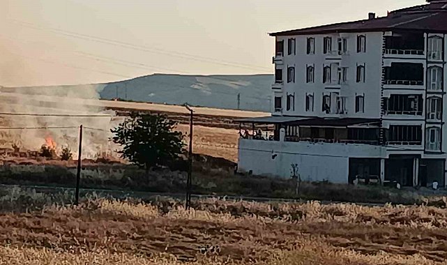 Elazığ'da buğday tarlasında yangın