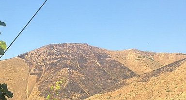 Elazığ'da dağlık alanda çıkan yangın söndürüldü