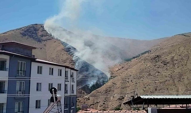 Elazığ'da dağlık alanda yangın