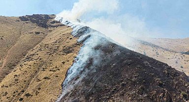 Elazığ'da dağlık alanda yangına sebep olan şüpheli tutuklandı