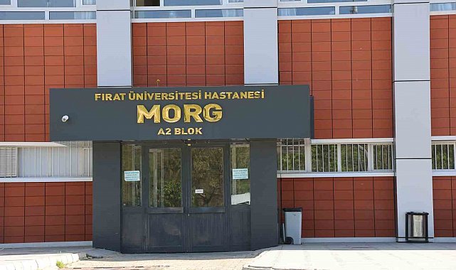 Elazığ'da iş makinesinin altında kalan işçi, hayatını kaybetti