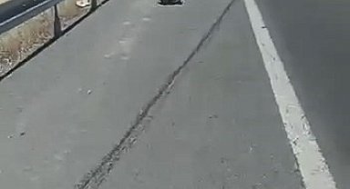 Elazığ'da trafik kazası: 1 yaralı