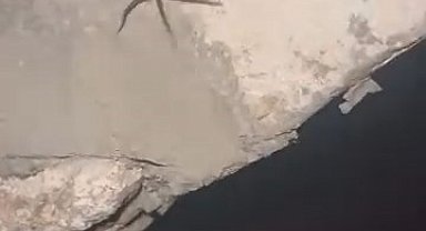 Elazığ'da zehirli sarıkız örümceği görüldü