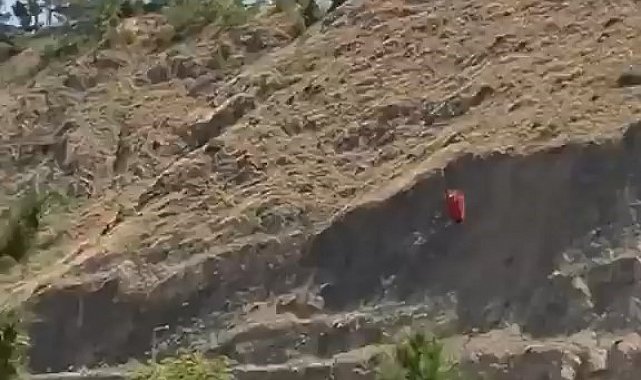 Elazığ'daki dağlık alan yangınına havadan müdahale başladı