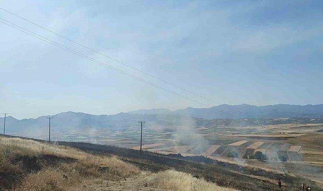 Elazığ'daki yangında 40 dönümlük arpa küle döndü