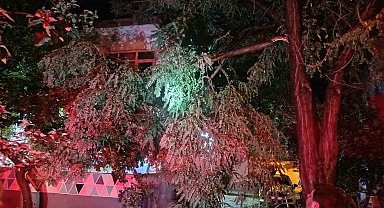 Erdek'te fırtına ve dolu yağışı: Ağaçlar devrildi, çatılar uçtu