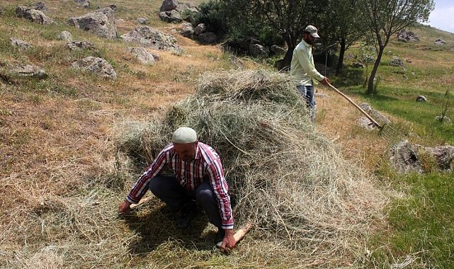 Erzincan'da vatandaşların kış hazırlığı