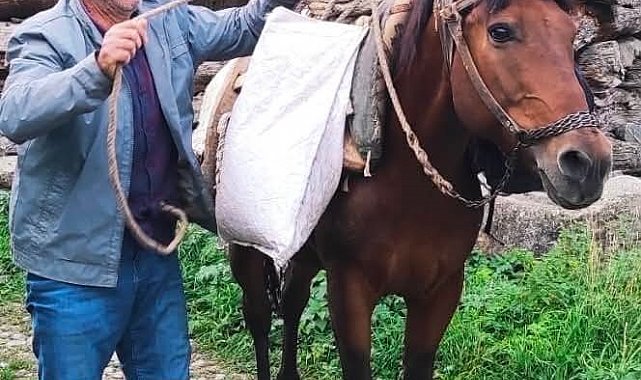 Erzurum'da acı olay: Psikolojik tedavi gören şahıs derede can verdi