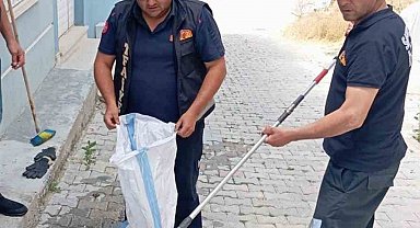 Eve giren yılan paniğe neden oldu