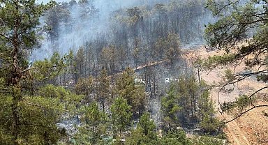 Fethiye'de orman yangınını söndürme çalışmaları sürüyor