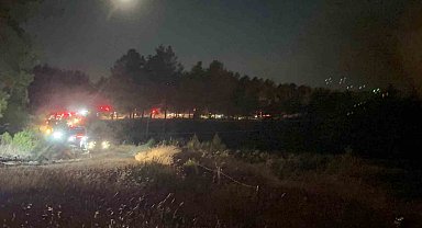 Fethiye'de Yeşilüzümlü Mahallesinde orman yangını başladı