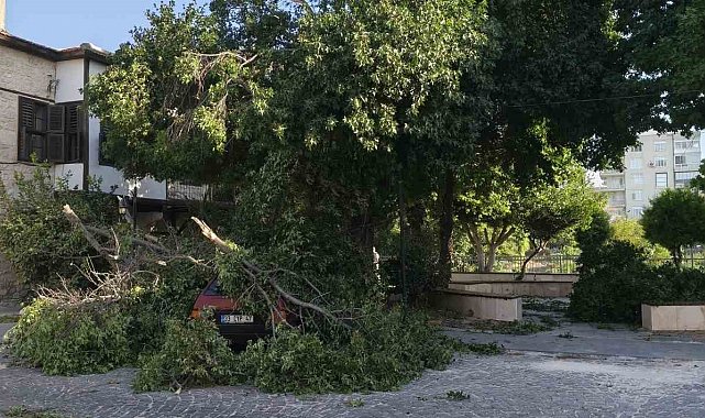 Fırtına ağaçları araçların üzerine devirdi, tekneyi kıyıya vurdu