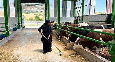 Gediz'de 12 milyon TL'lik büyükbaş besi işletmesi faaliyete geçti