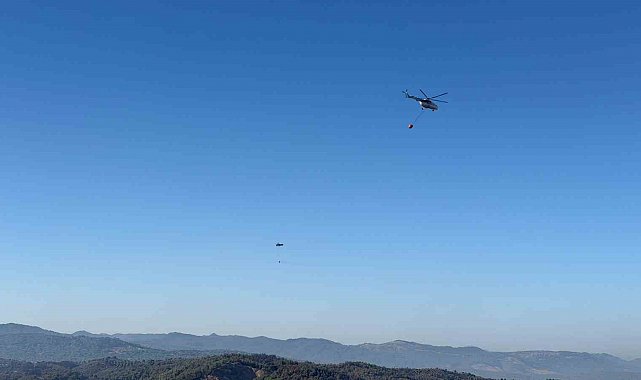 Gömeç, Ayvalık ve Bergama'da binlerce hektar ağacı kül eden yangın kontrol altına alındı
