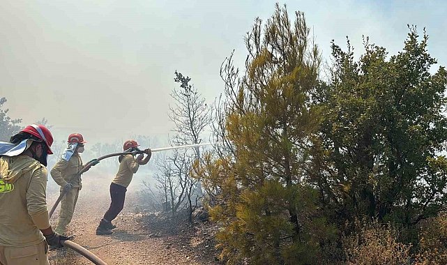 Gömeç'te orman yangınına havadan ve karadan yoğun müdahale
