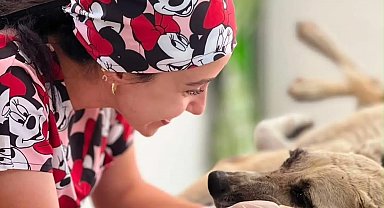 Gözüne bağ çubuğu saplanan köpek yeniden hayata tutundu