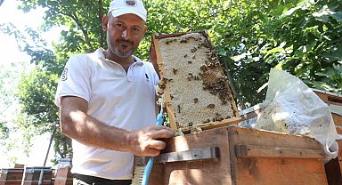 Günler süren yağışlarla birlikte açan çiçekler arıları sevindirirken bal hasadı yüz güldürdü