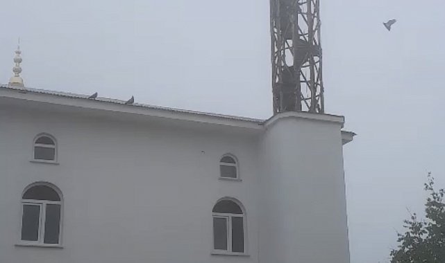 Güvercin yuvası minare yıkımını erteledi