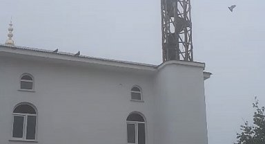 Güvercin yuvası minare yıkımını erteledi