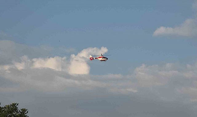 Hamile kadın ambulans helikopter ile Van'a getirildi