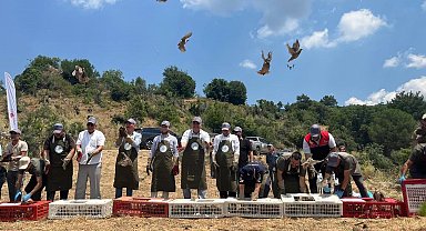 Havran'da keklikler doğal yaşam alanlarına bırakıldı