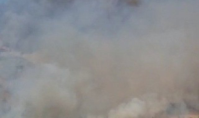 Hierapolis Antik Kent yakınında örtü yangını