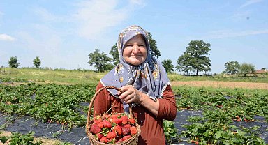 Hobi olarak 2 dönümde başladı, üretimi şimdi 42 dönüme çıktı