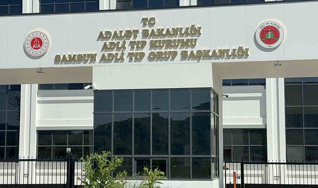 Ihlamur ağacından düşen yaşlı adam hayatını kaybetti