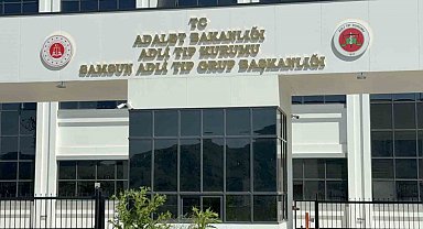 Ihlamur ağacından düşen yaşlı adam hayatını kaybetti