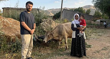 İhlas Haber Ajansı'nın haberi Ayni teyzenin yüzünü güldürdü: İnekler kendisine ulaştı