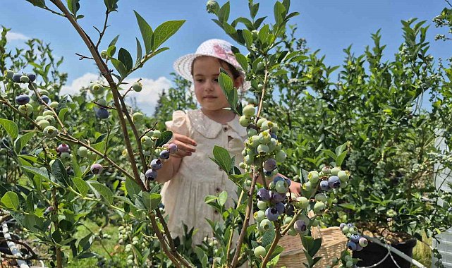 İlahiyat fakültesi öğrencisinden tarımda başarı hikayesi