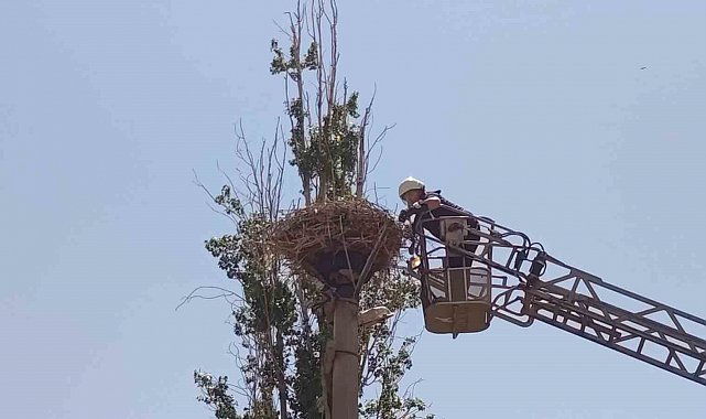 İpe dolanan leyleğin yardımına itfaiye yetişti