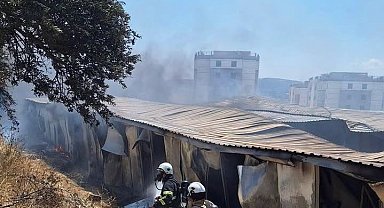 İşçilerin kaldığı konteyner yatakhane alevlere teslim oldu