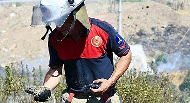 İzmir İtfaiyesi bukalemunu hayata döndürdü
