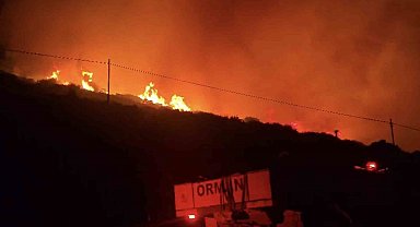 İzmir'de makilik alandaki yangın kontrol altında