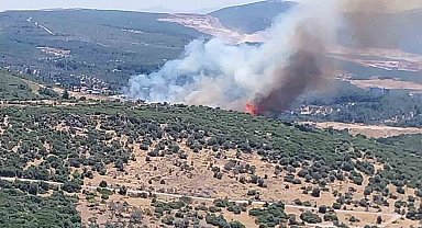 İzmir'de orman yangınına havadan ve karadan müdahale